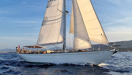 BARTELLI II main photo